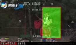 黑坑江湖爆料视频大全,揭秘视频大全背后的精彩故事